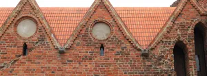 torun kopia