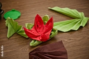 TzP (7)